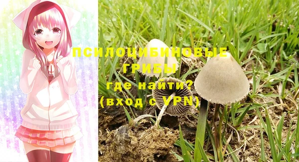соль курить ск Балахна