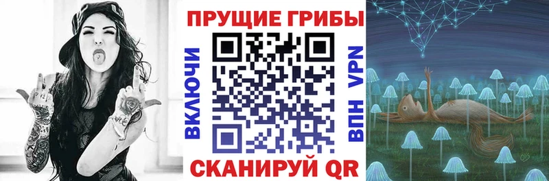 как найти закладки  Пятигорск  Галлюциногенные грибы прущие грибы 