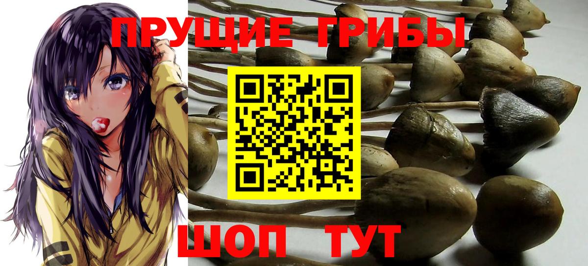 Псилоцибиновые грибы ЛСД Пятигорск